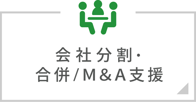 会社分割・合併/Ｍ＆Ａ支援